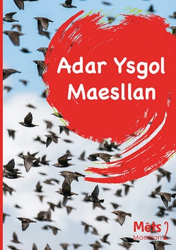 Adar ysgol maesllan