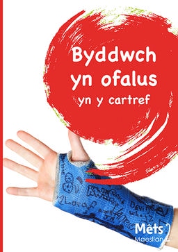 Byddwch yn ofalus yn y cartref